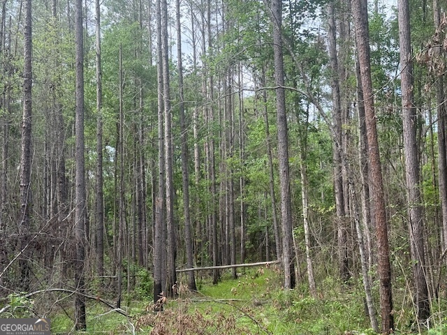 0 Lower Lumpkin Road Georgetown, GA 39854 - Photo 2 of 23 a view of outdoor space and garden