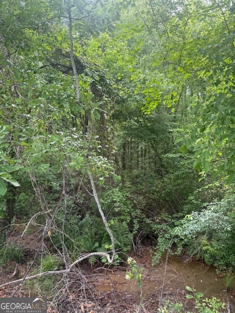 0 Lower Lumpkin Road Georgetown, GA 39854 - Photo 21 of 23 a view of a forest with lots of trees