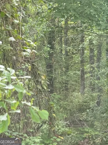 $124,750 | 0 Lower Lumpkin Road, Georgetown, GA 39854