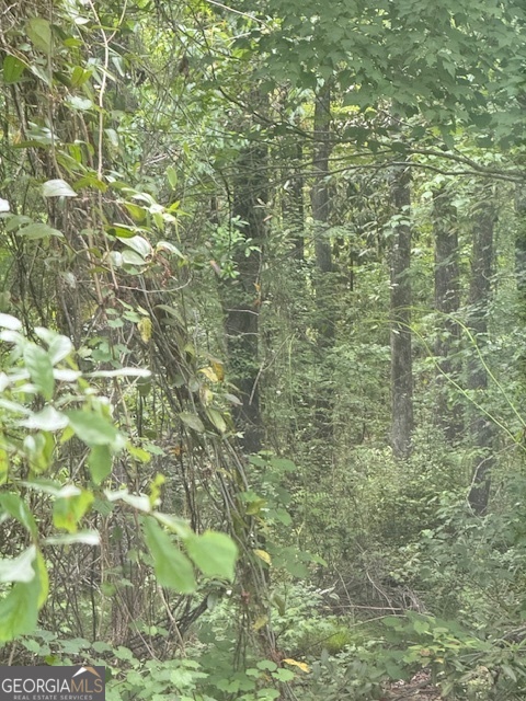 0 Lower Lumpkin Road Georgetown, GA 39854 - Photo 22 of 23 a bathroom with a window