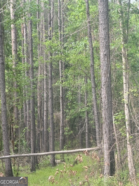 0 Lower Lumpkin Road Georgetown, GA 39854 - Photo 23 of 23