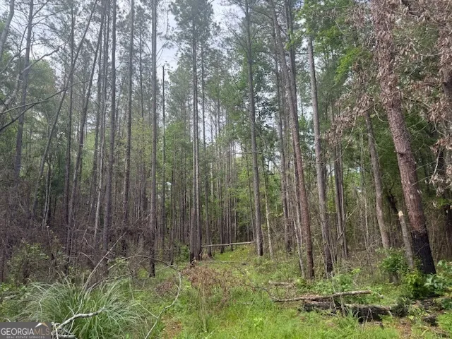 a view of outdoor space and green space