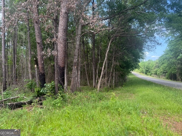 0 Lower Lumpkin Road Georgetown, GA 39854 - Photo 4 of 23 a view of a lush green forest