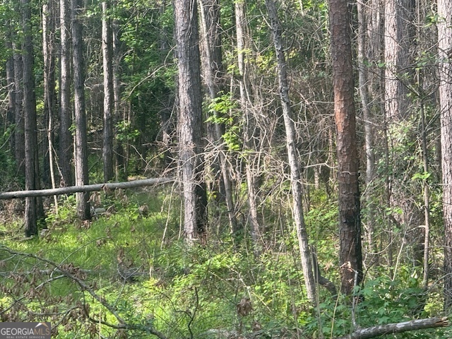 0 Lower Lumpkin Road Georgetown, GA 39854 - Photo 9 of 23