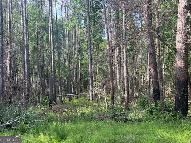 a view of outdoor space and green space
