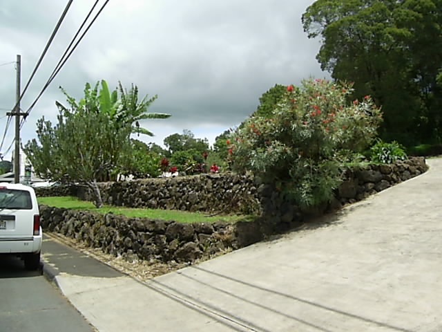 4615 Lower Kula Road Kula, HI 96790 - Photo 5 of 20 a view of a garden with pathway
