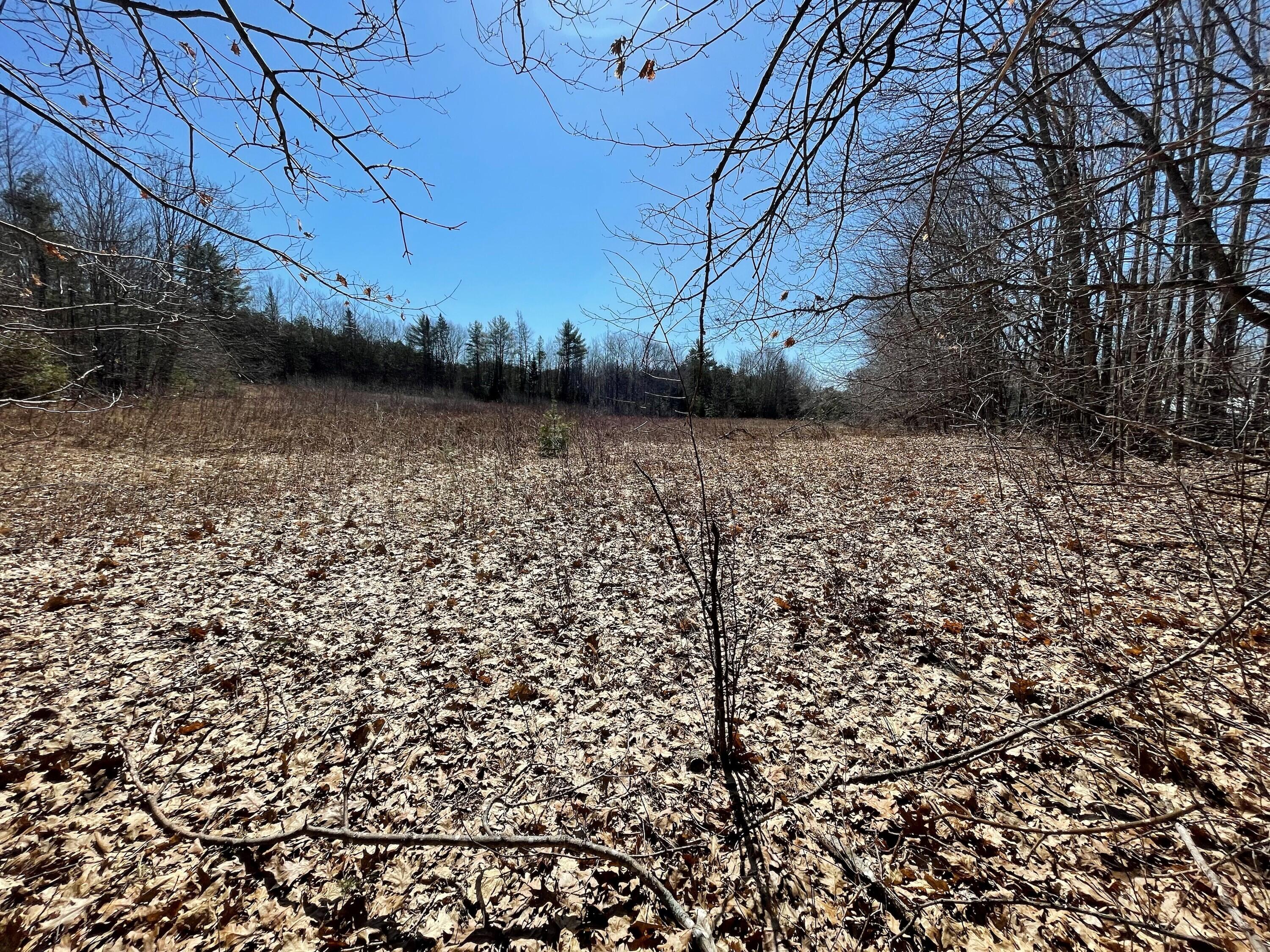 Lot 11-1 Snow Road St. Albans, ME 04971 - Photo 2 of 3 Picture 2