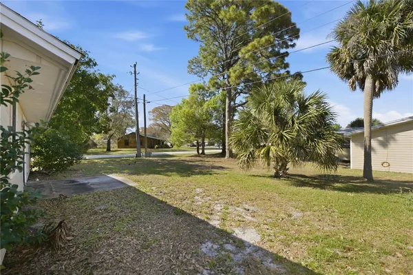 a view of yard with tree