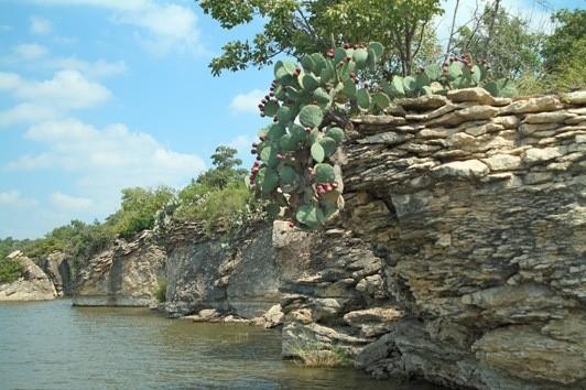 614 Twin Hills Road Lake Bridgeport, TX 76426 - Photo 6 of 28