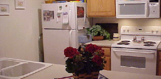 450 Mill Ridge Drive Byron, IL 61010 - Photo 3 of 6 Gallery Image 3