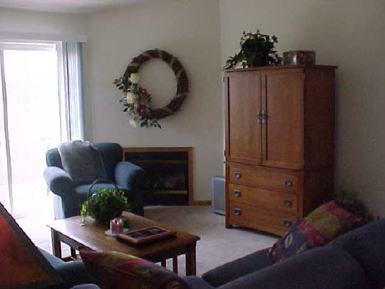 450 Mill Ridge Drive Byron, IL 61010 - Photo 6 of 6 Gallery Image 6