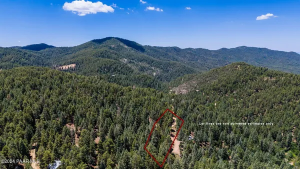 a view of a snow with trees in the background