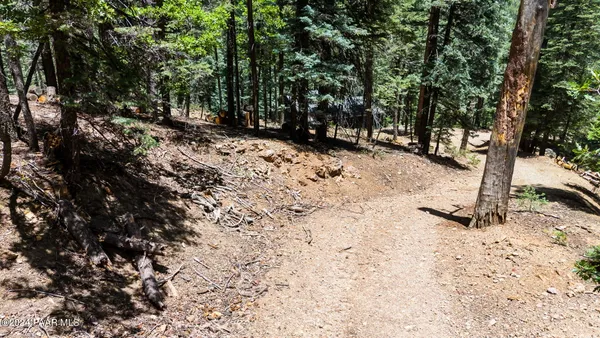 a view of a backyard of the house