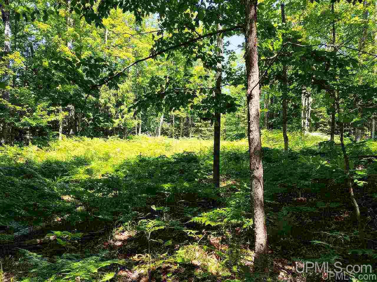 Tbd Tbd Indian Cemetery Road Lanse, MI 49946 - Photo 39 of 40