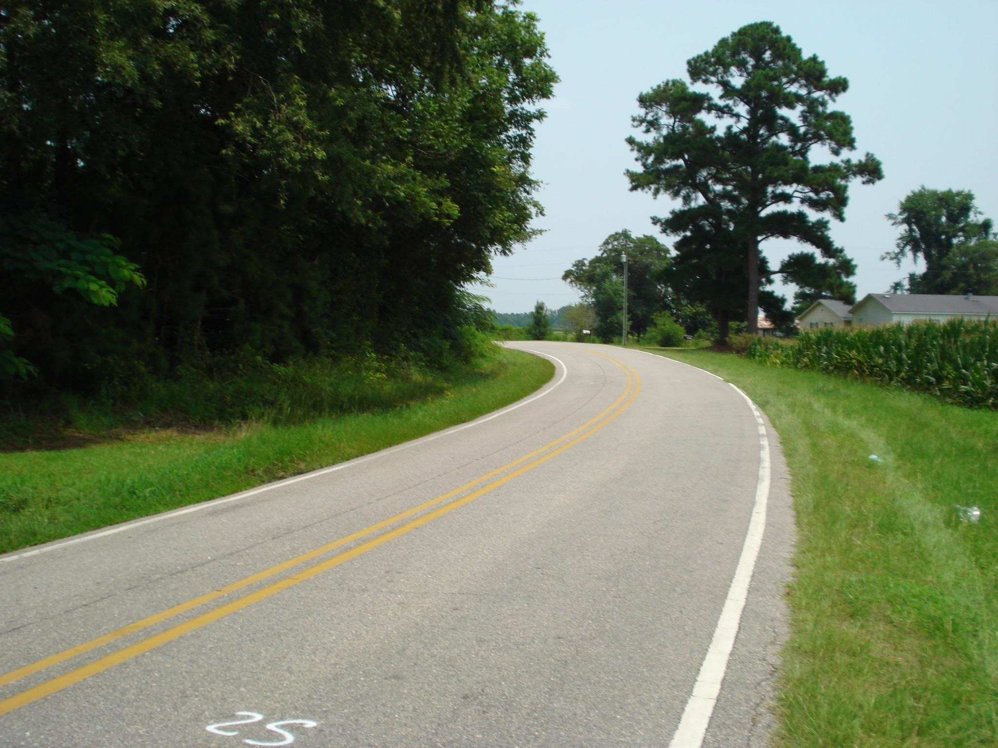 0 Bud Hawkins Road Dunn, NC 28334 - Photo 8 of 10 Photo 8