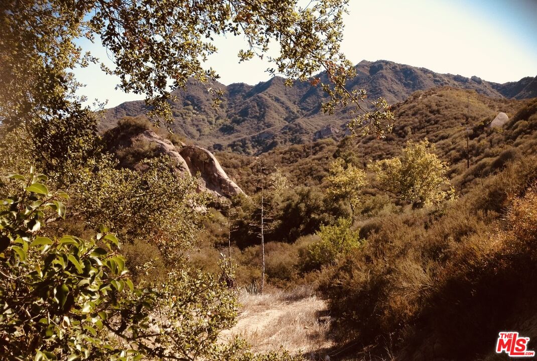 0 Red Rock Road Topanga, CA 90290 - Photo 20 of 53 a view of a large tree