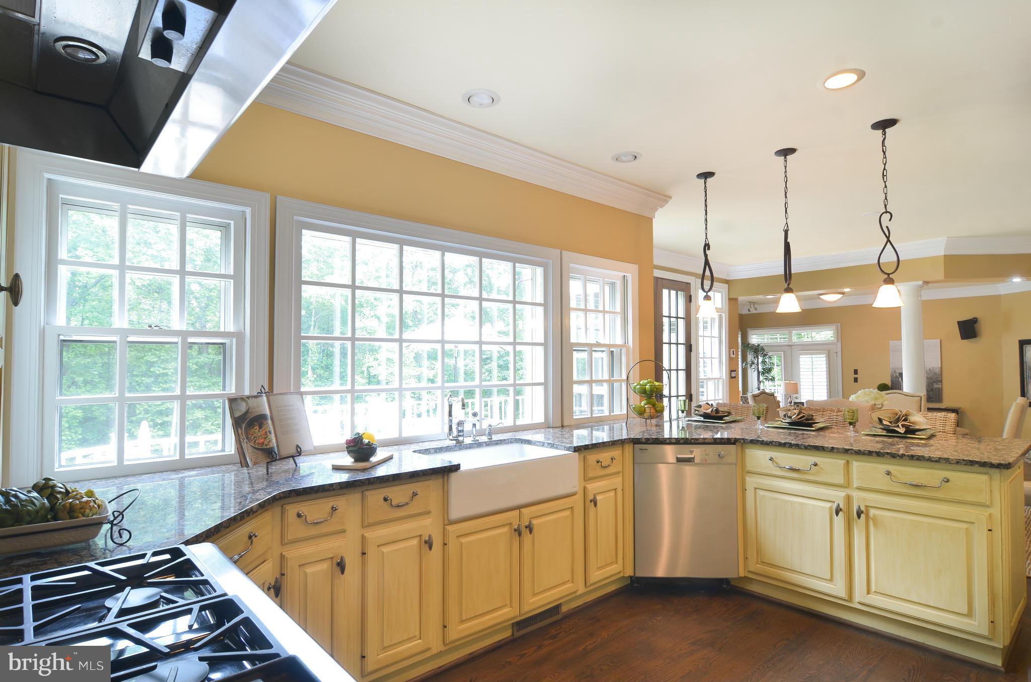 11250 Center Harbor Road Reston, VA 20194 - Photo 11 of 30 Kitchen
