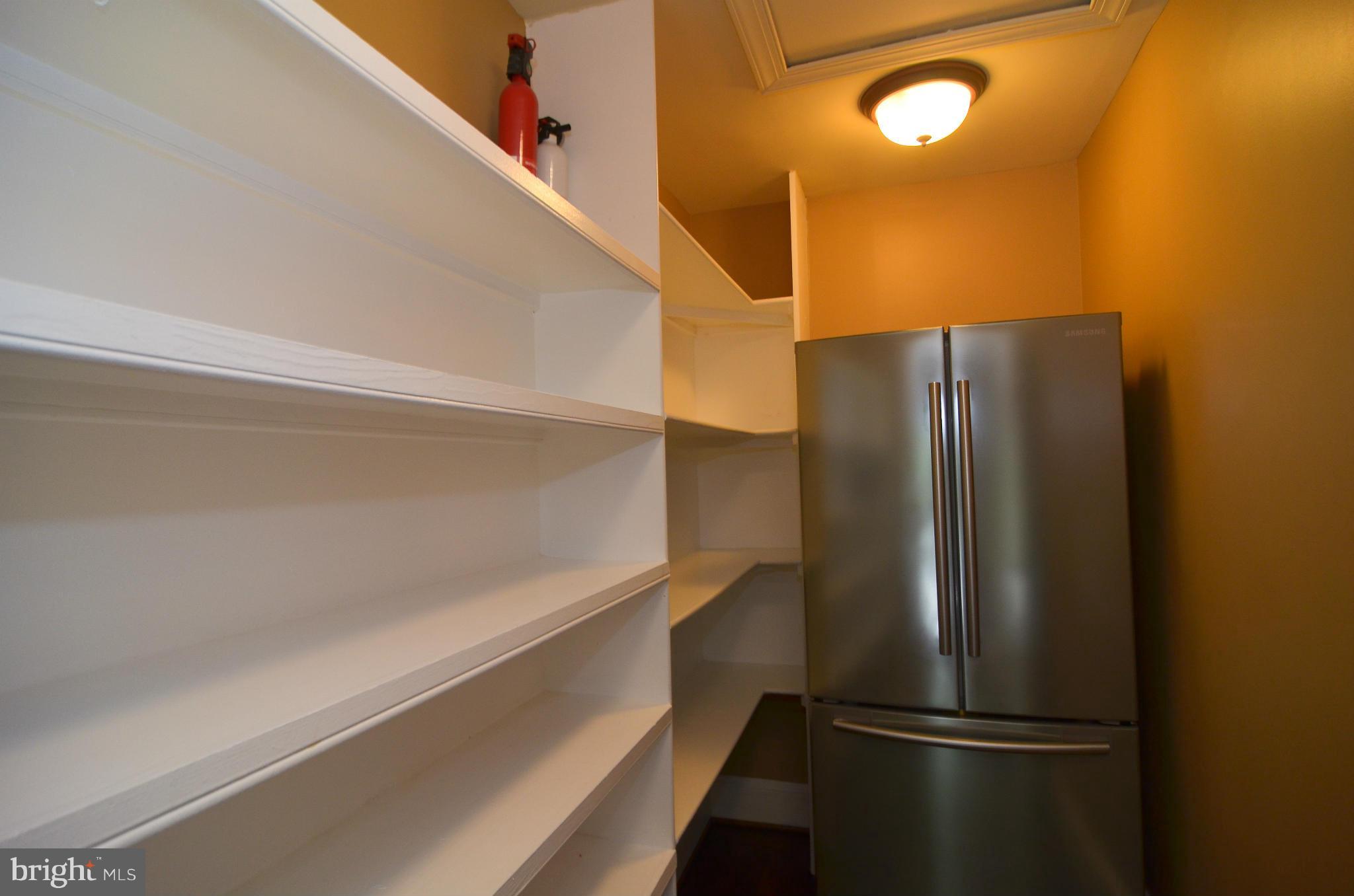 11250 Center Harbor Road Reston, VA 20194 - Photo 14 of 30 Pantry