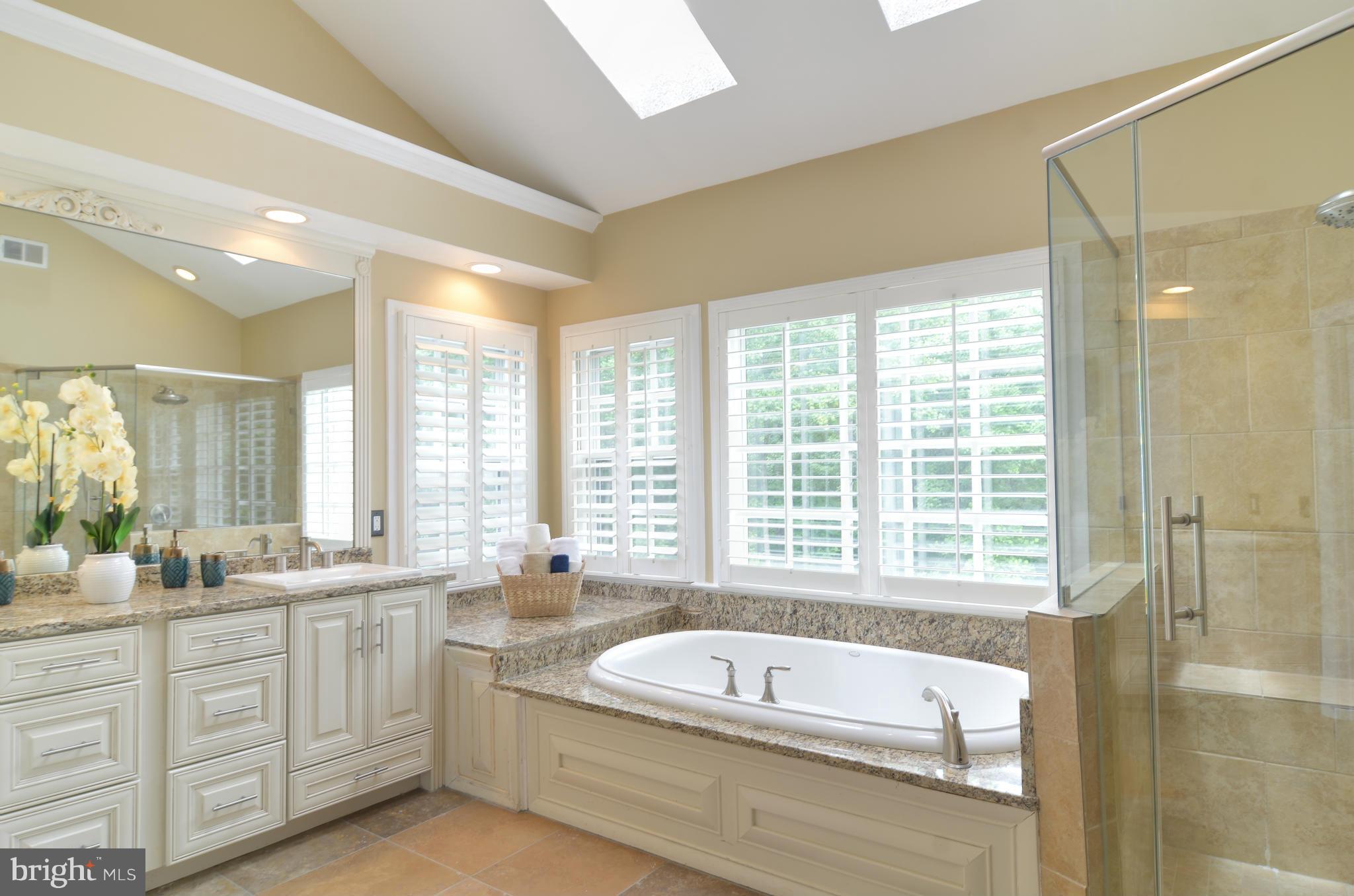 11250 Center Harbor Road Reston, VA 20194 - Photo 20 of 30 Bath (Master)
