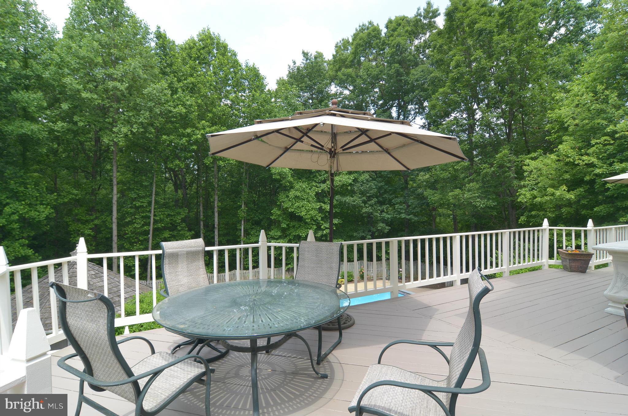 11250 Center Harbor Road Reston, VA 20194 - Photo 23 of 30 Huge Deck