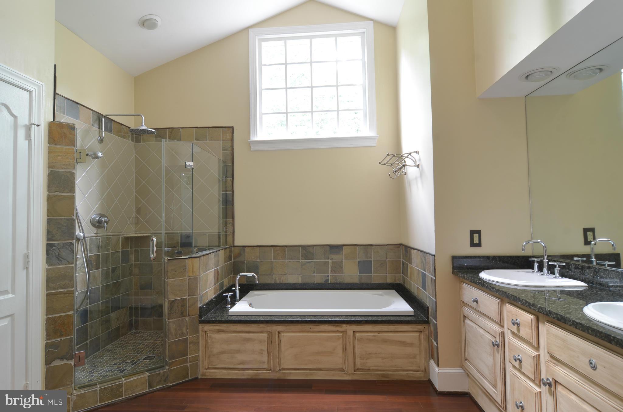 11250 Center Harbor Road Reston, VA 20194 - Photo 27 of 30 Gorgeous Bathroom