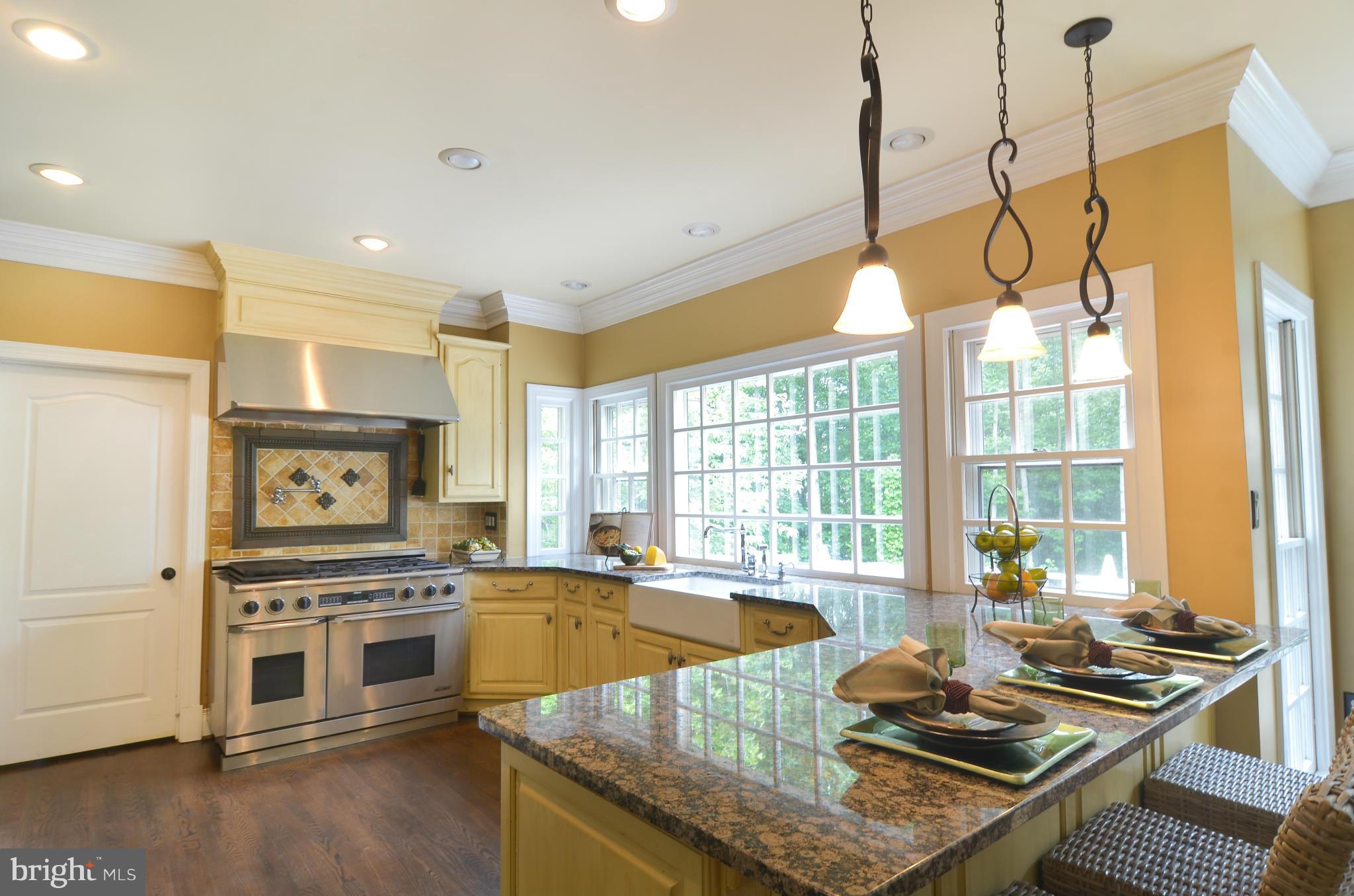 11250 Center Harbor Road Reston, VA 20194 - Photo 10 of 30 Kitchen with Sub Zero Fridge and High End Range