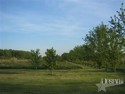 0 Mccomb Road Churubusco, IN 46723 - Photo 1 of 3