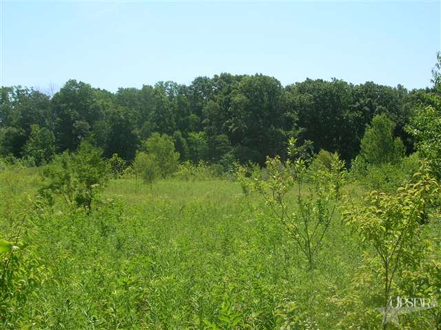0 Mccomb Road Churubusco, IN 46723 - Photo 2 of 3