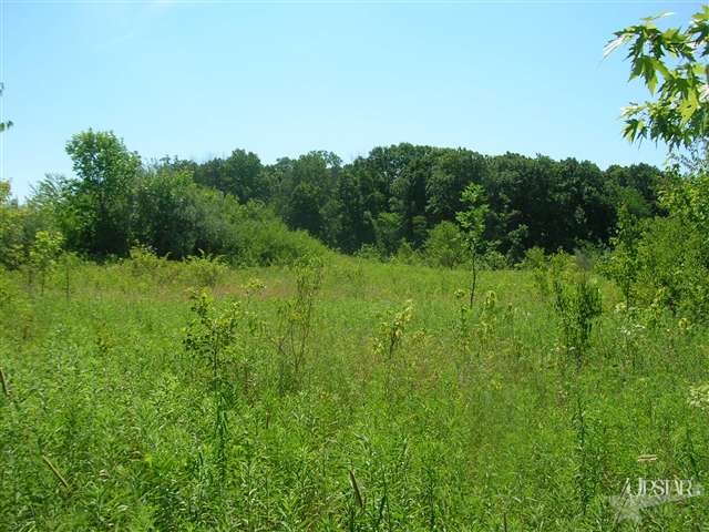 0 Mccomb Road Churubusco, IN 46723 - Photo 3 of 3