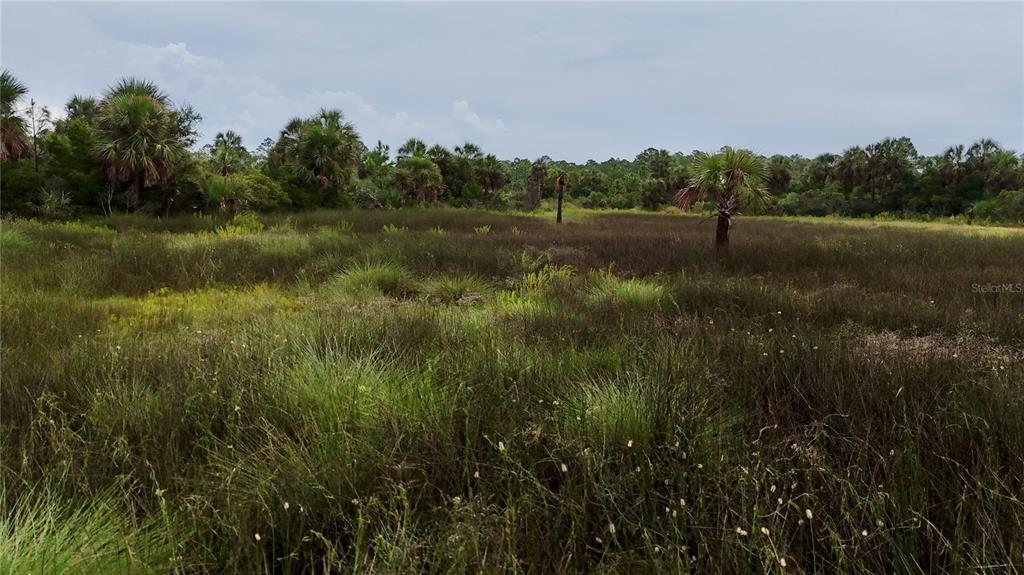 0 Lots 18 19 Adams Beach Road Perry, FL 32348 - Photo 7 of 25
