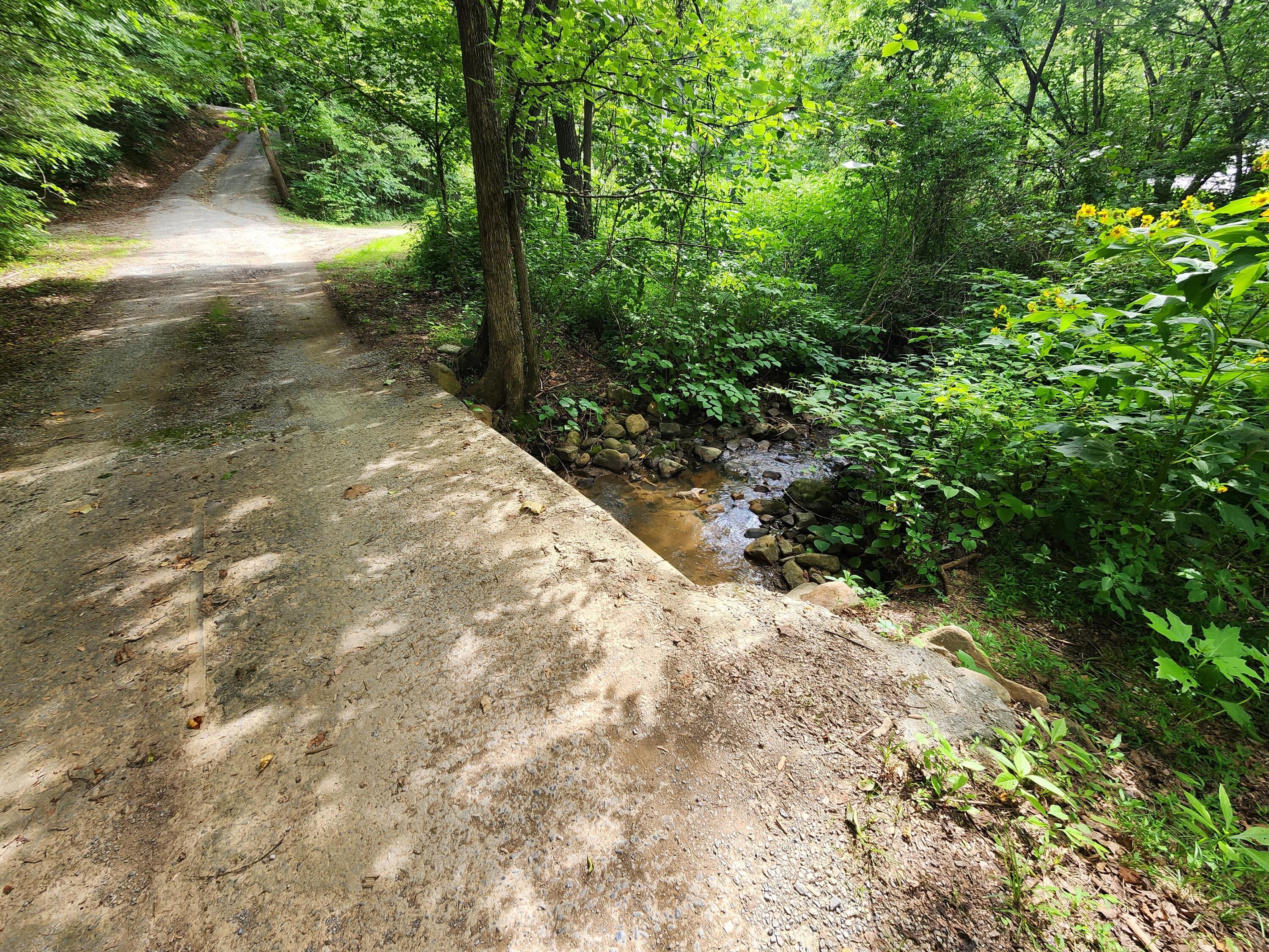 1253 Ryder Church Road Bluff City, TN 37618 - Photo 1 of 75 20230713_164808
