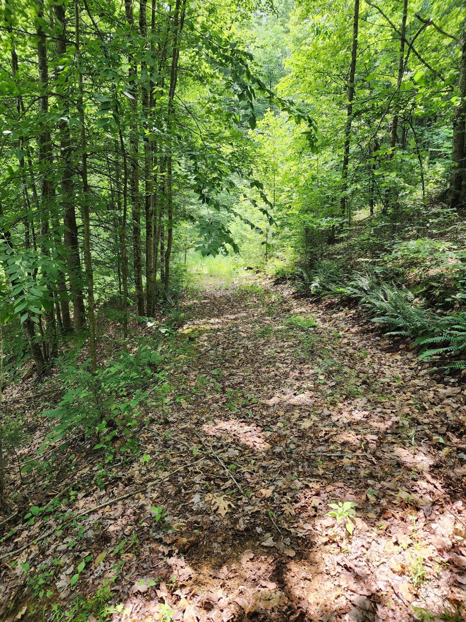 1253 Ryder Church Road Bluff City, TN 37618 - Photo 15 of 75 20230627_120932