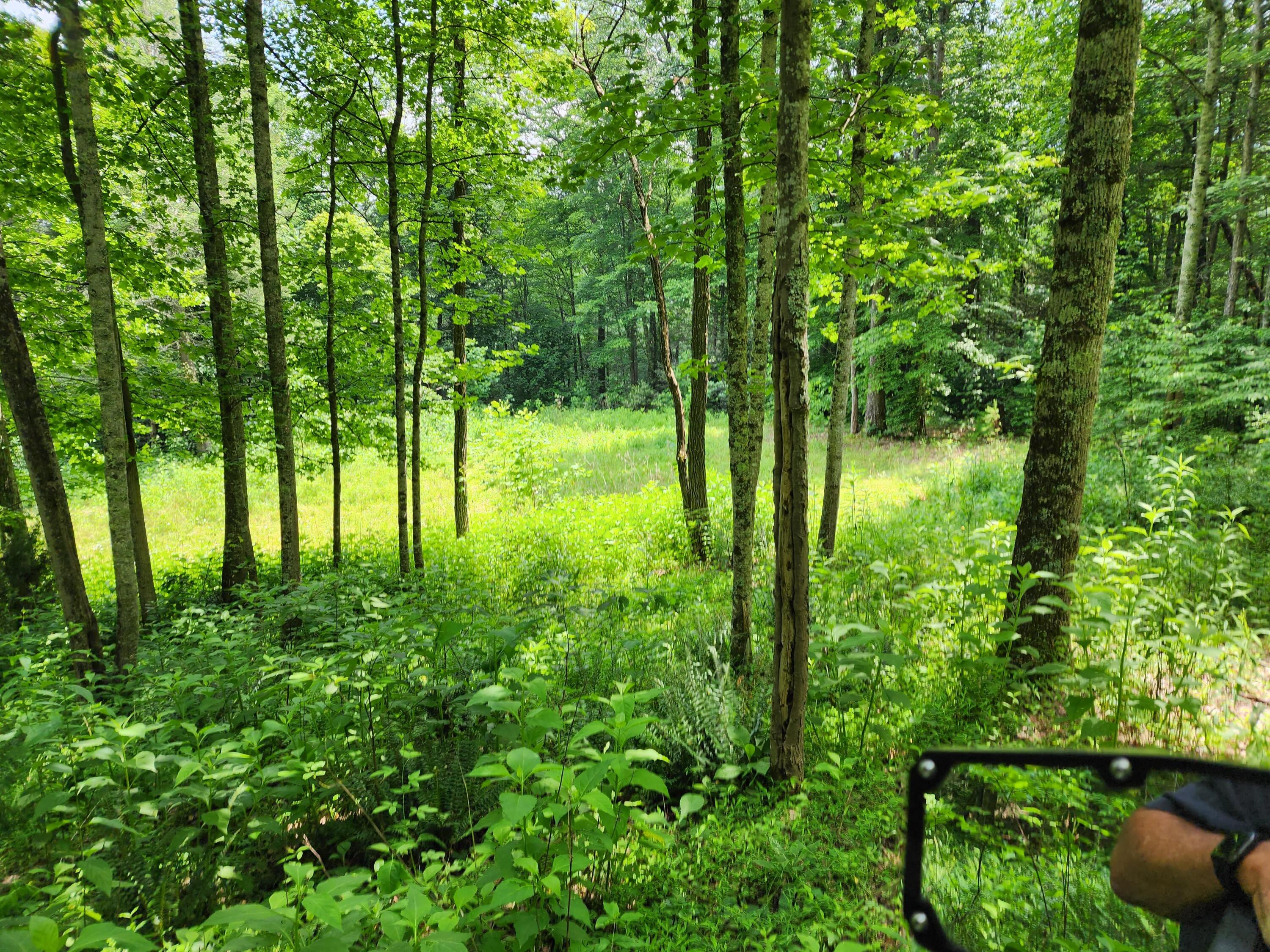 1253 Ryder Church Road Bluff City, TN 37618 - Photo 17 of 75 20230627_121030