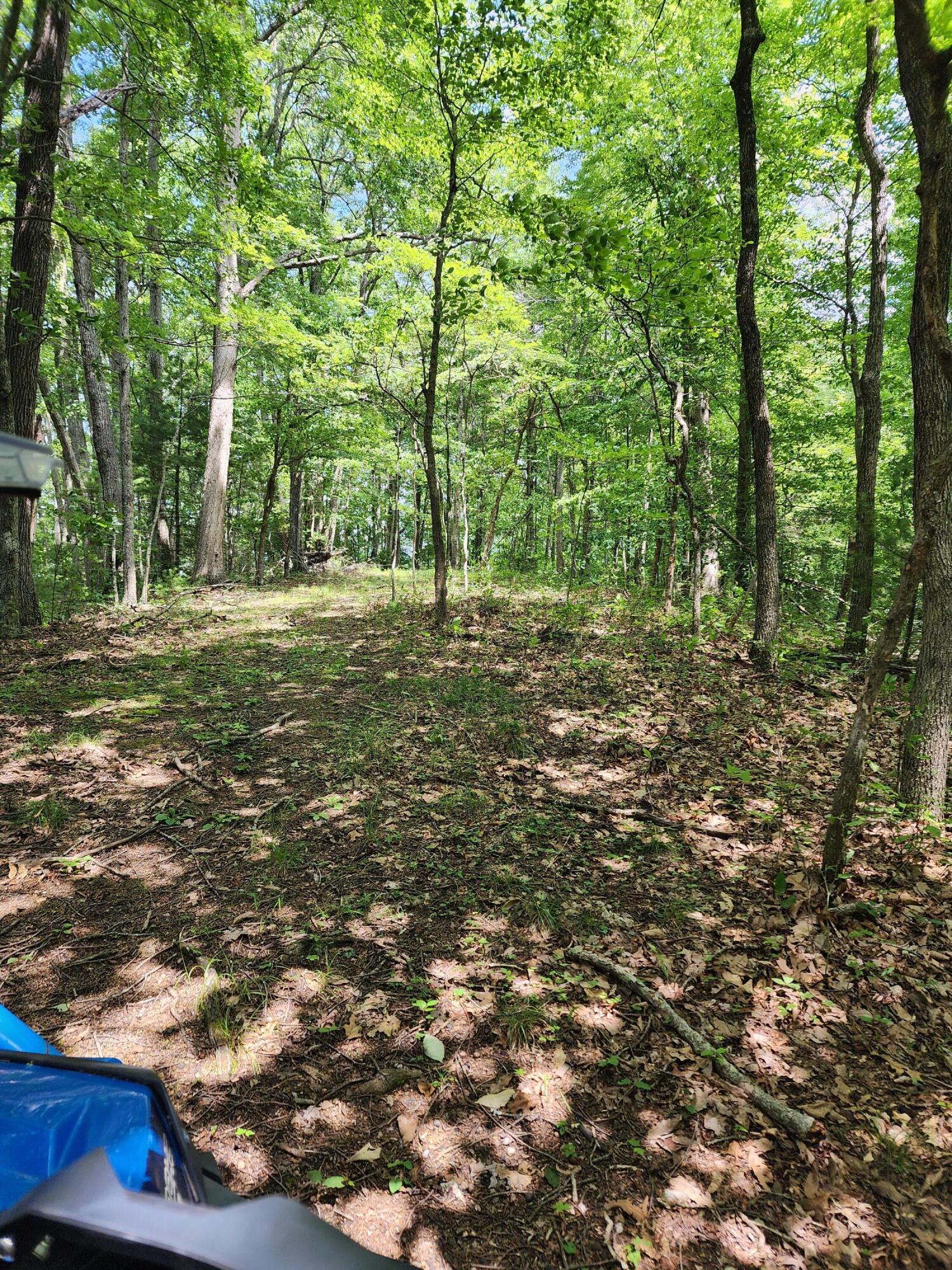 1253 Ryder Church Road Bluff City, TN 37618 - Photo 19 of 75 20230627_121154
