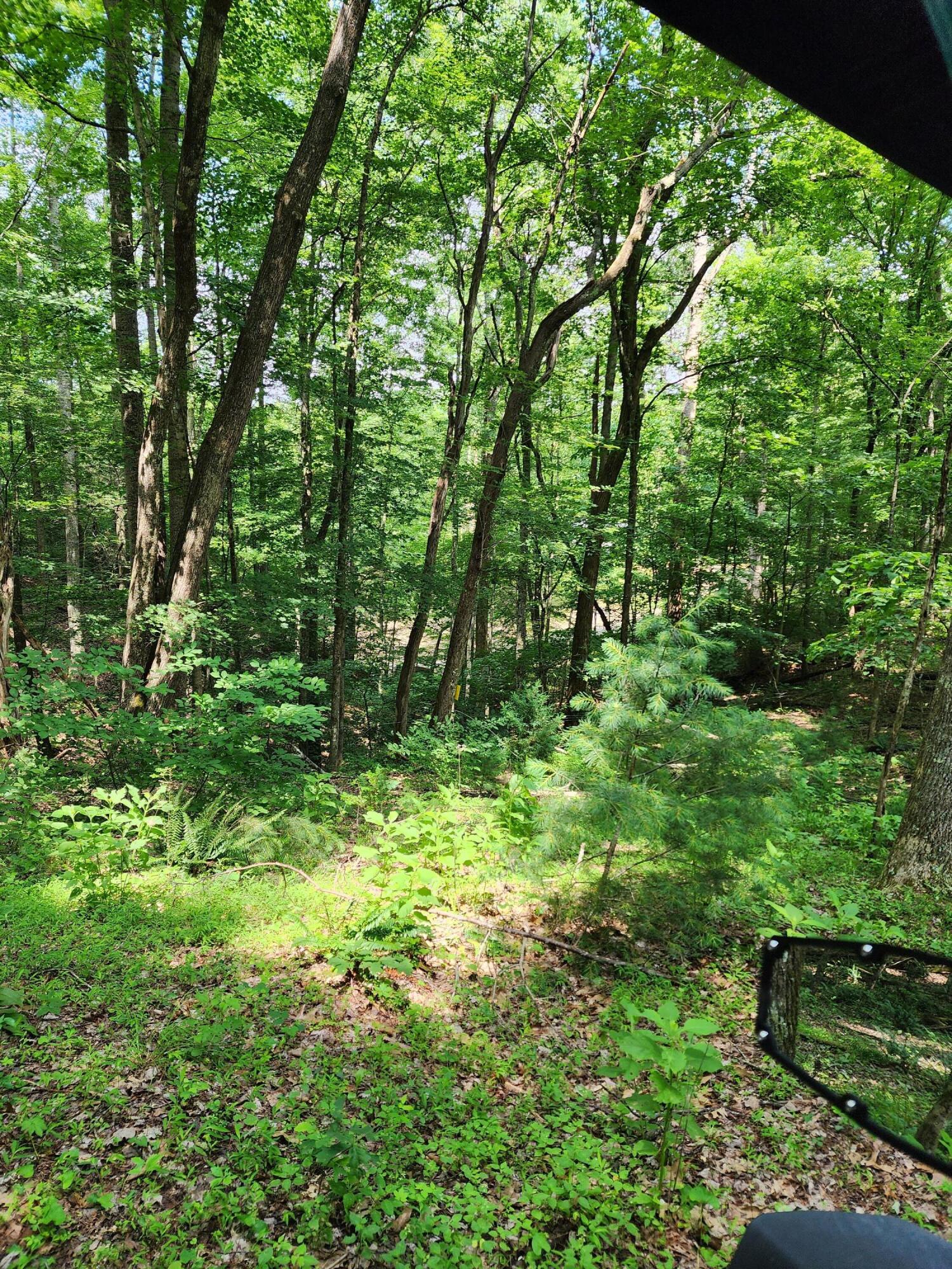 1253 Ryder Church Road Bluff City, TN 37618 - Photo 20 of 75 20230627_121442