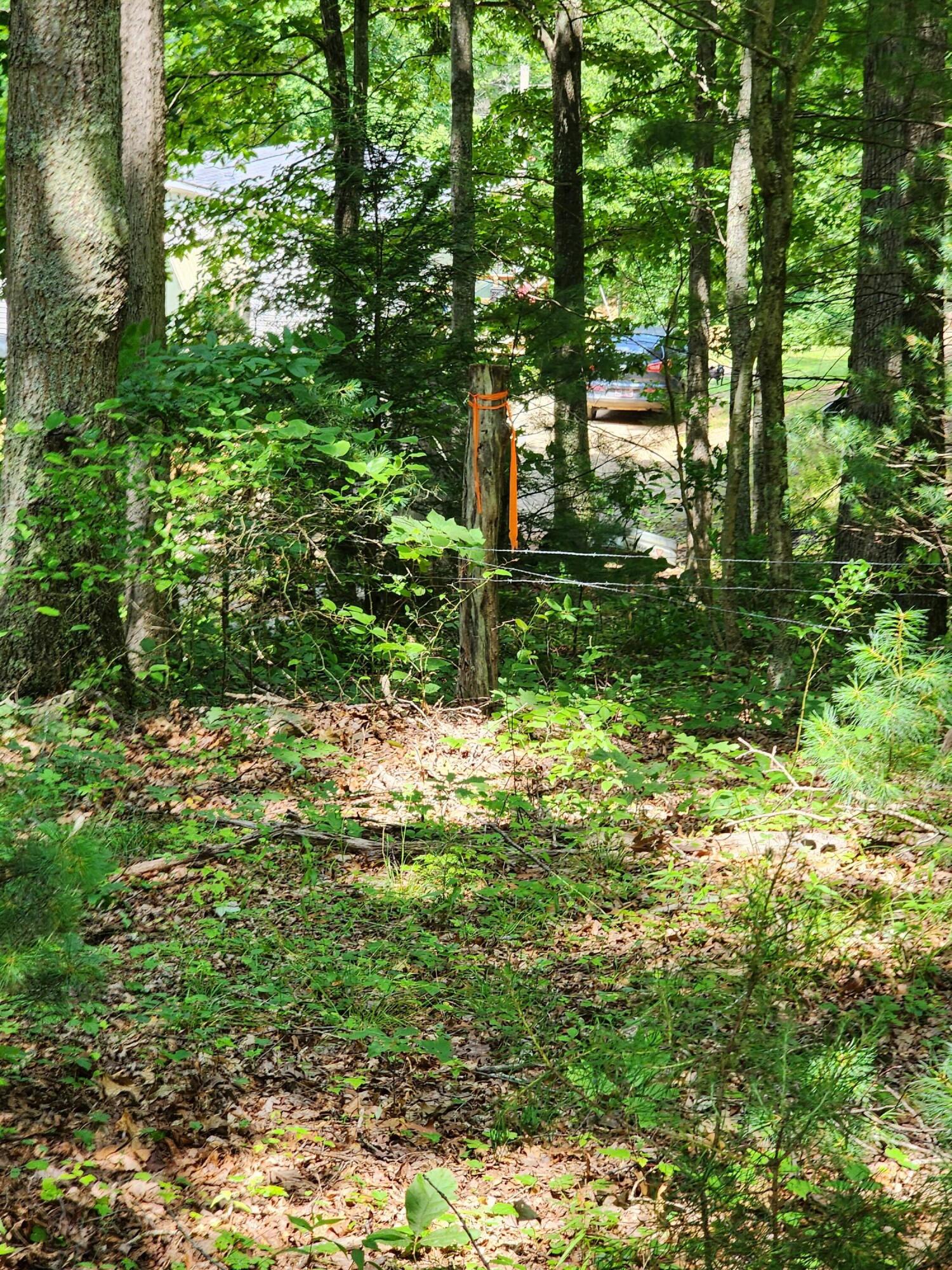 1253 Ryder Church Road Bluff City, TN 37618 - Photo 23 of 75 20230627_121737
