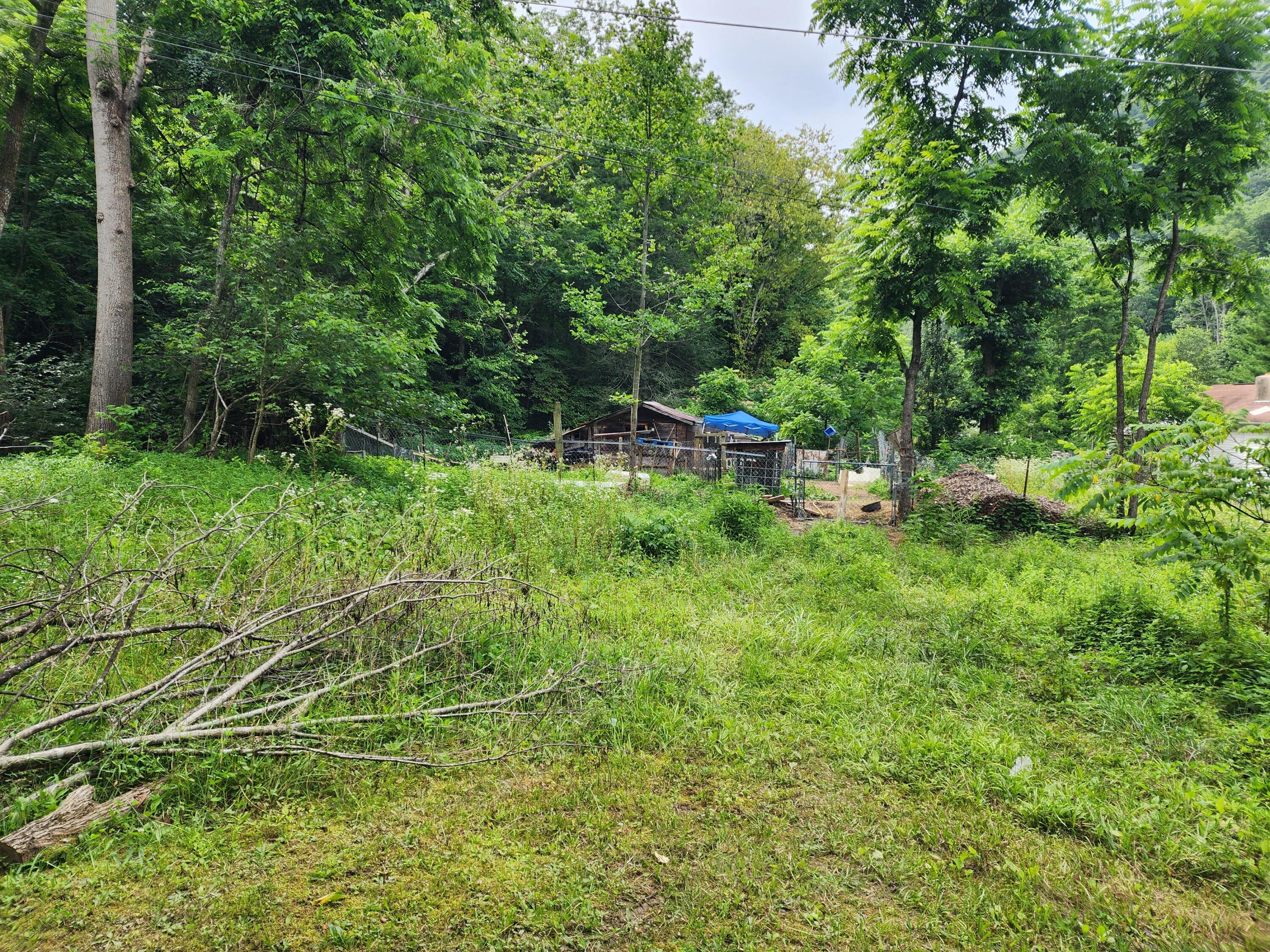 1253 Ryder Church Road Bluff City, TN 37618 - Photo 28 of 75 20230713_163821
