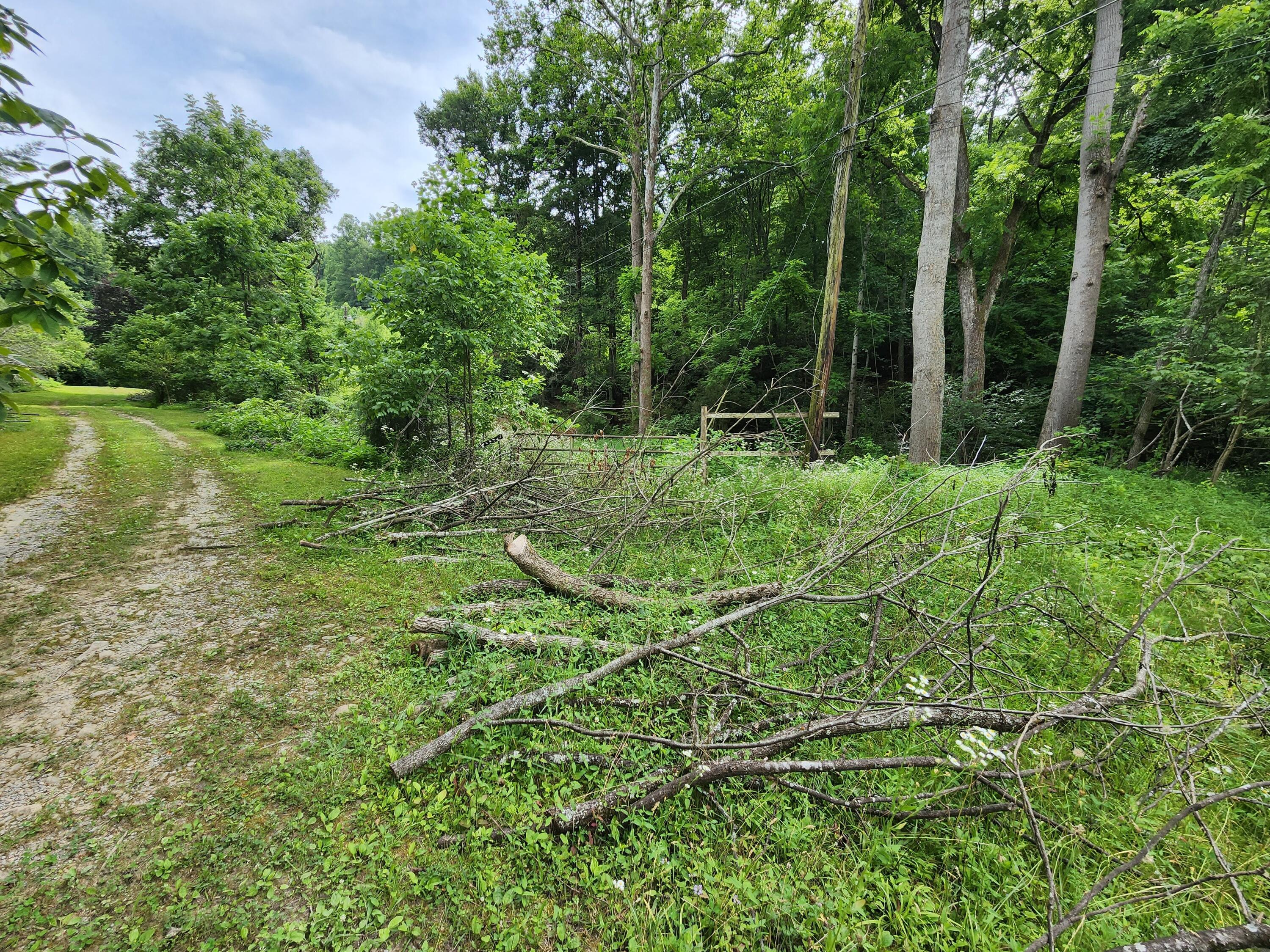 1253 Ryder Church Road Bluff City, TN 37618 - Photo 30 of 75 20230713_163916