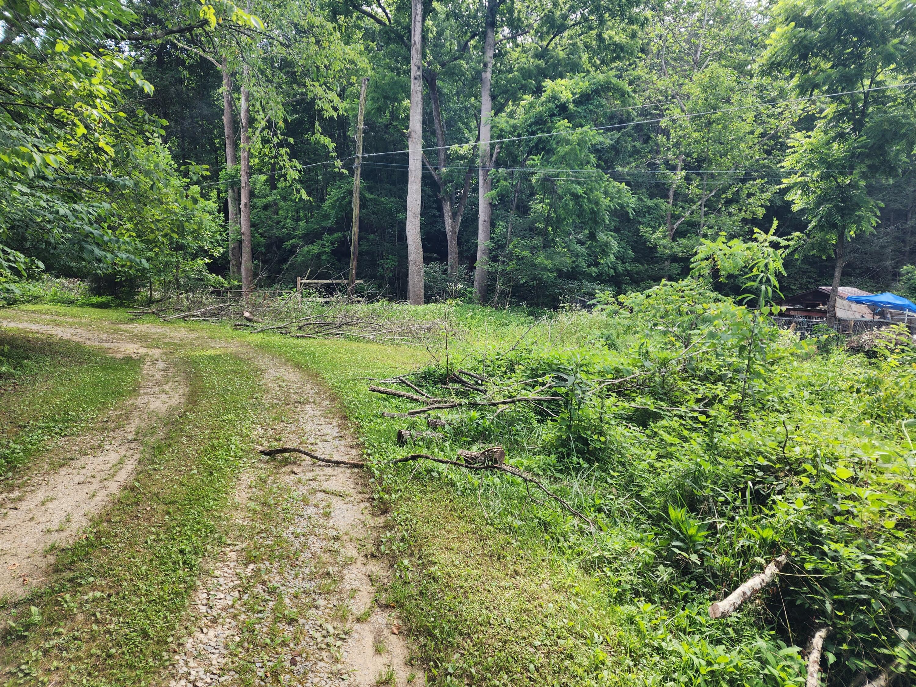 1253 Ryder Church Road Bluff City, TN 37618 - Photo 3 of 75 20230713_163808