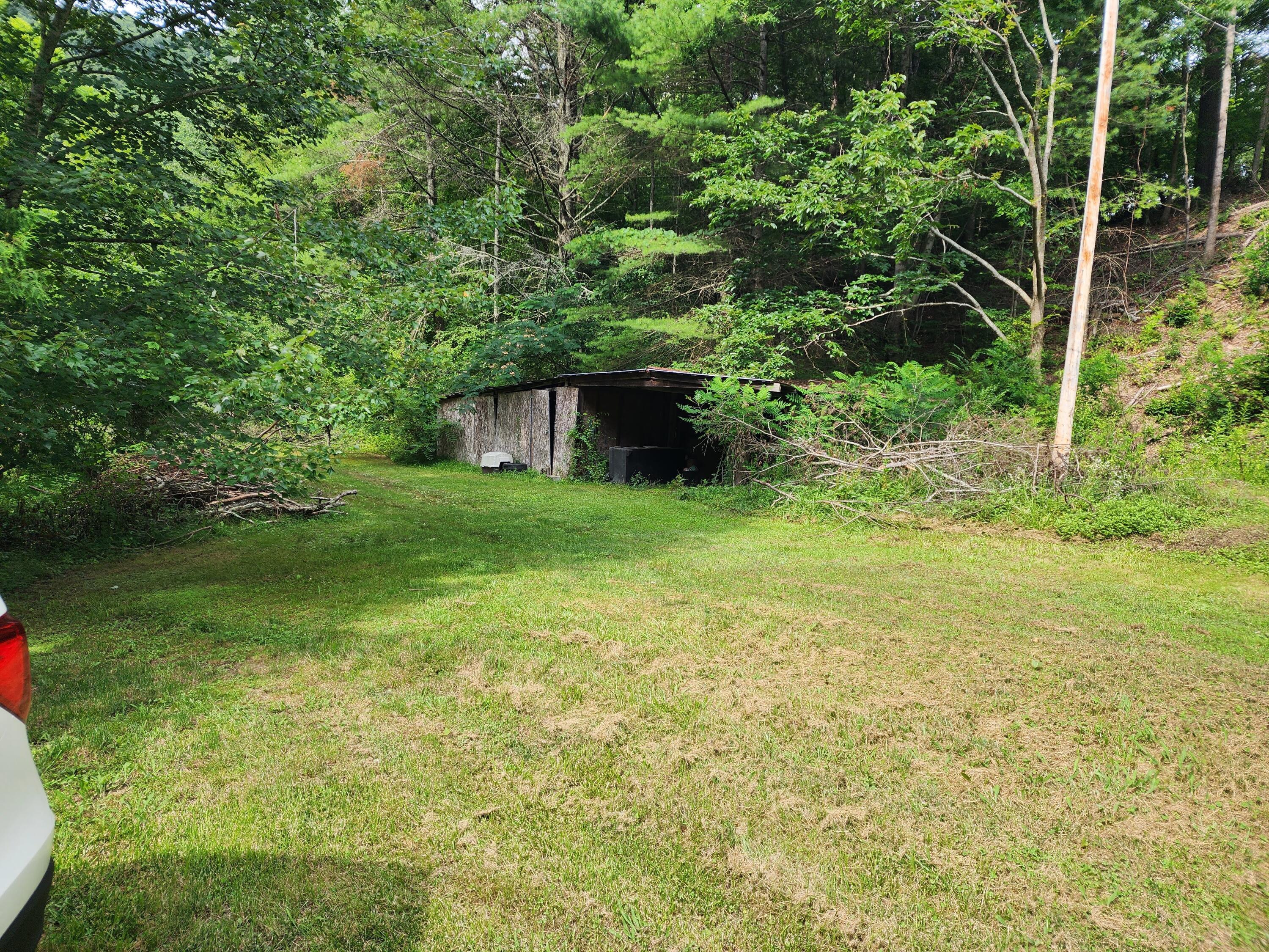 1253 Ryder Church Road Bluff City, TN 37618 - Photo 32 of 75 20230713_164222