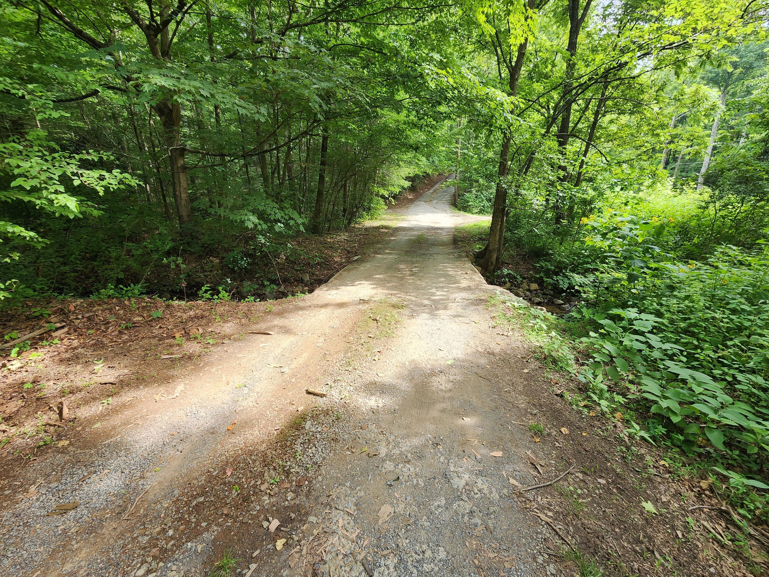 1253 Ryder Church Road Bluff City, TN 37618 - Photo 37 of 75 20230713_164753