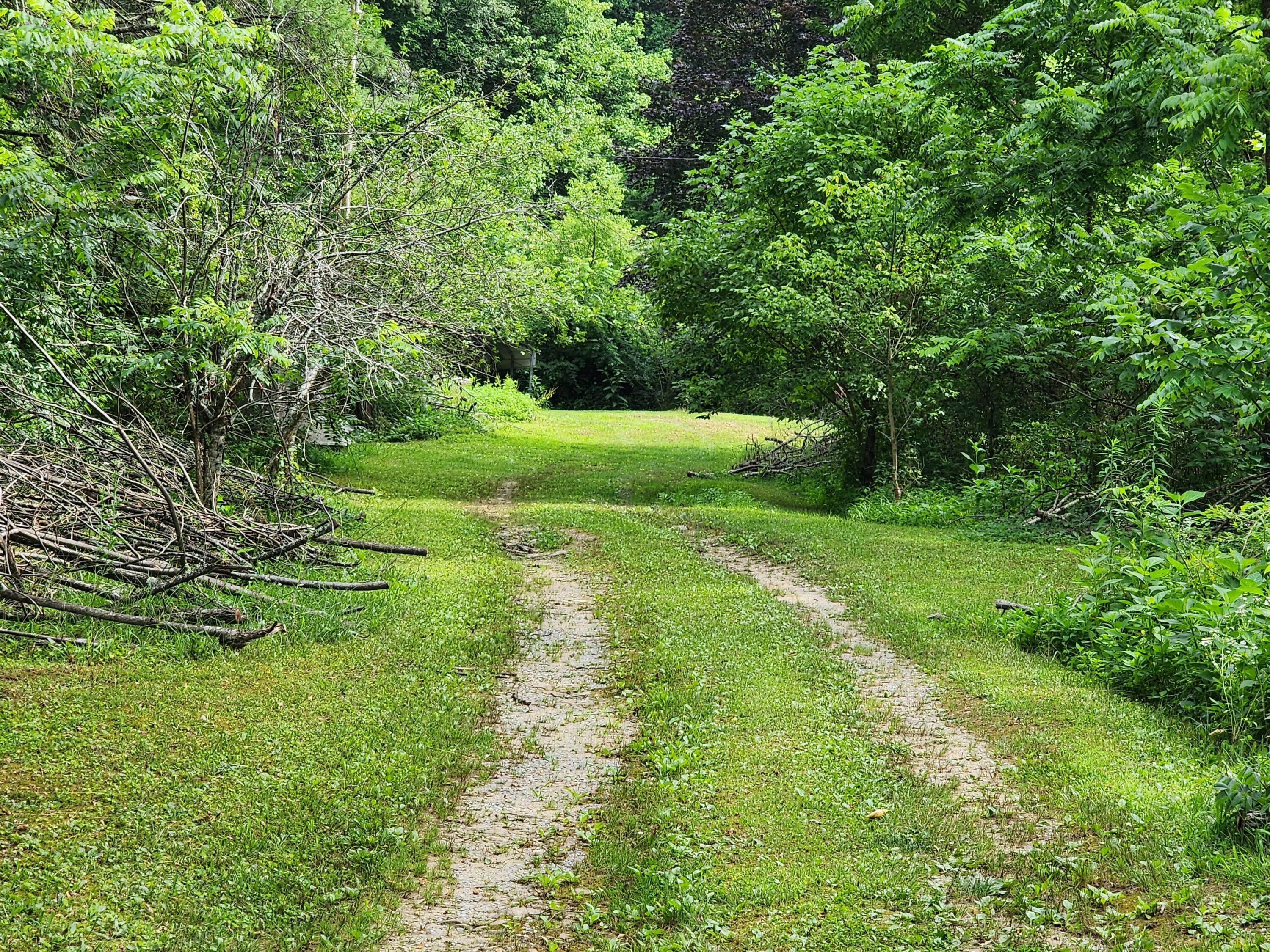 1253 Ryder Church Road Bluff City, TN 37618 - Photo 4 of 75 20230713_163839
