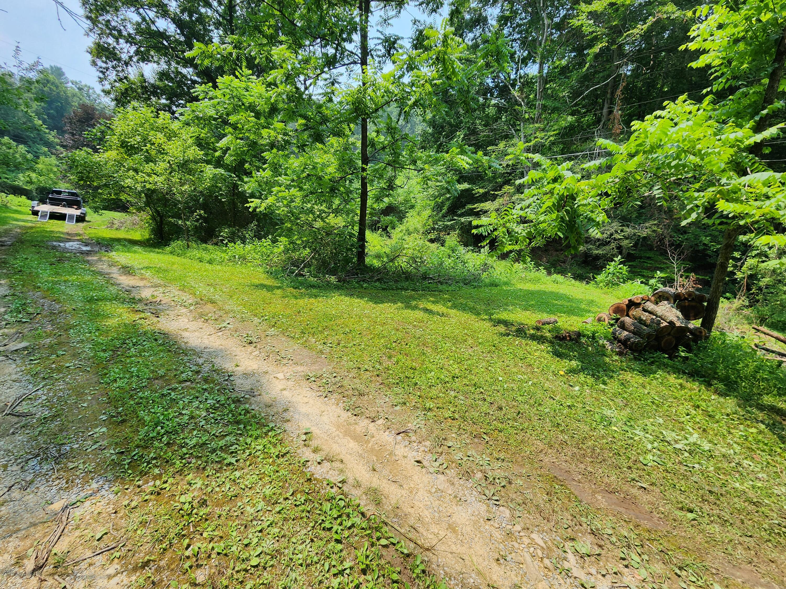 1253 Ryder Church Road Bluff City, TN 37618 - Photo 46 of 75 20230717_124351