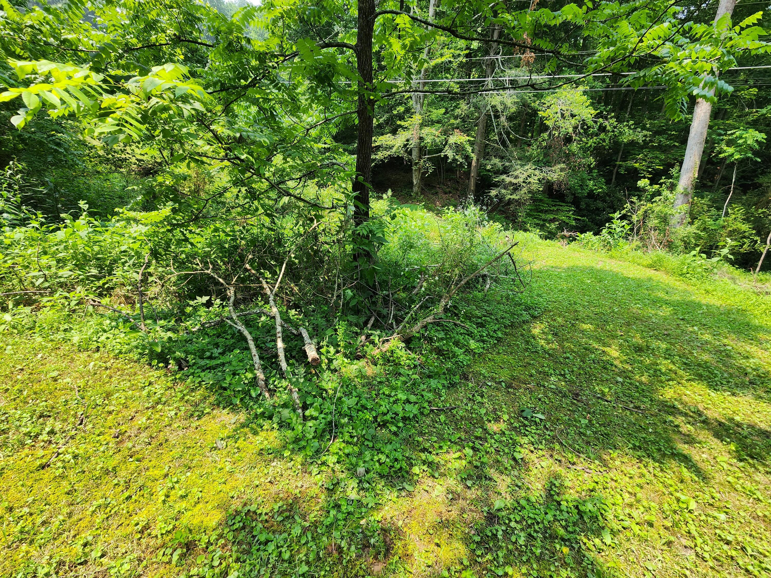 1253 Ryder Church Road Bluff City, TN 37618 - Photo 47 of 75 20230717_124401