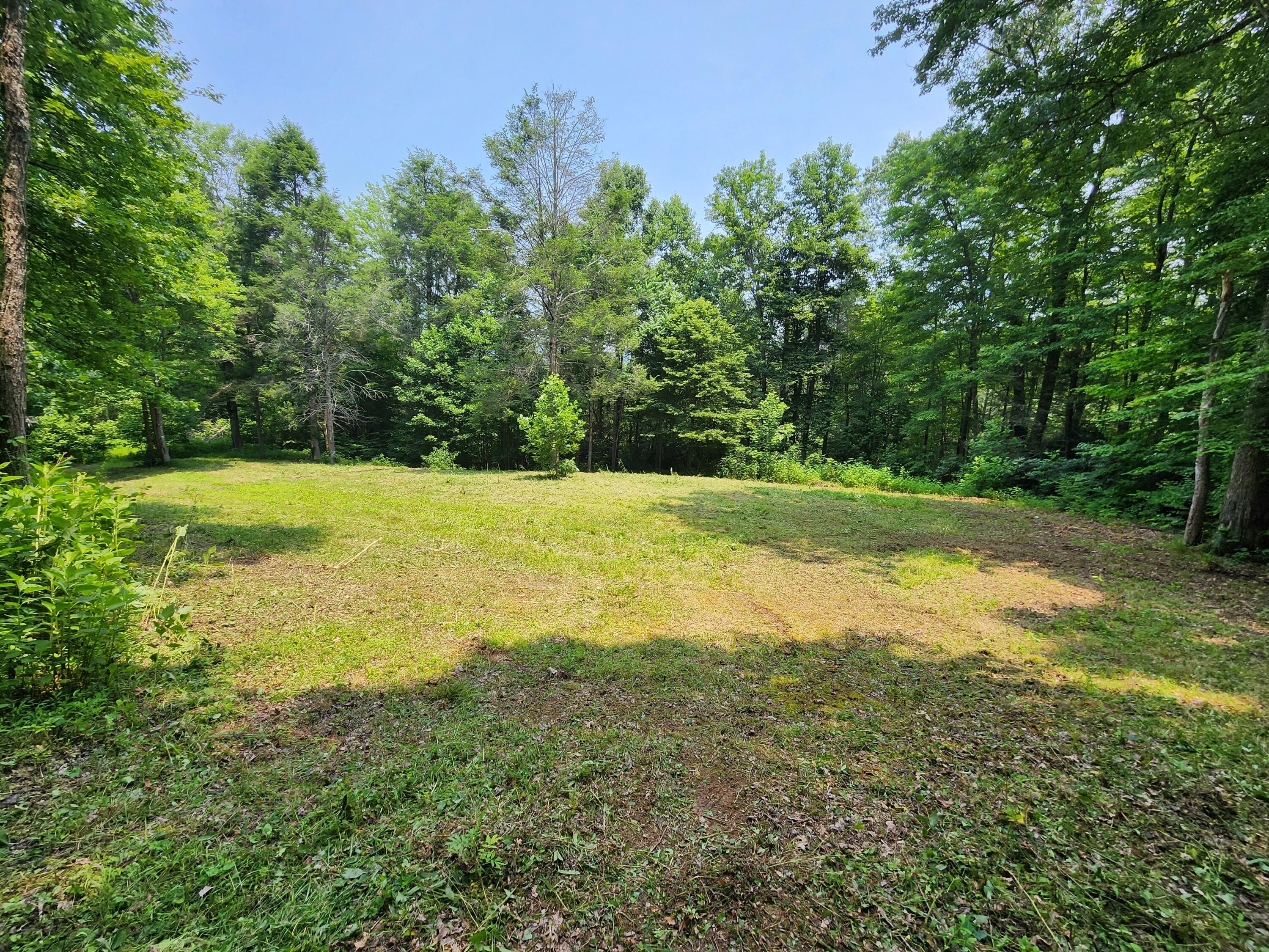 1253 Ryder Church Road Bluff City, TN 37618 - Photo 49 of 75 20230717_131320