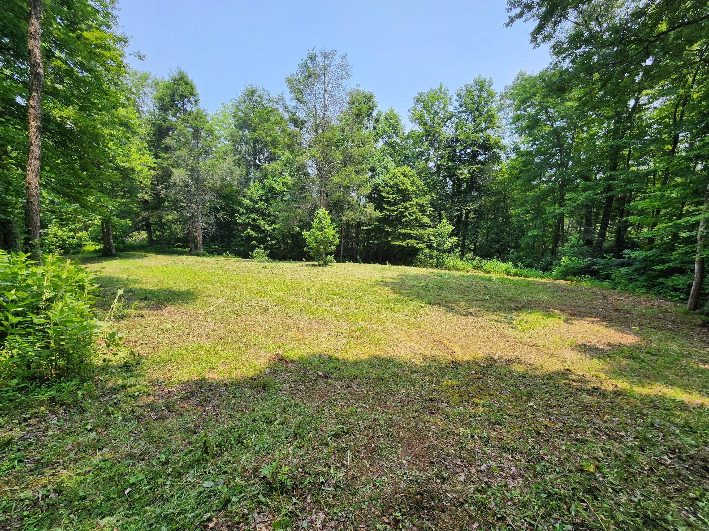 1253 Ryder Church Road Bluff City, TN 37618 - Photo 50 of 75 20230717_131322