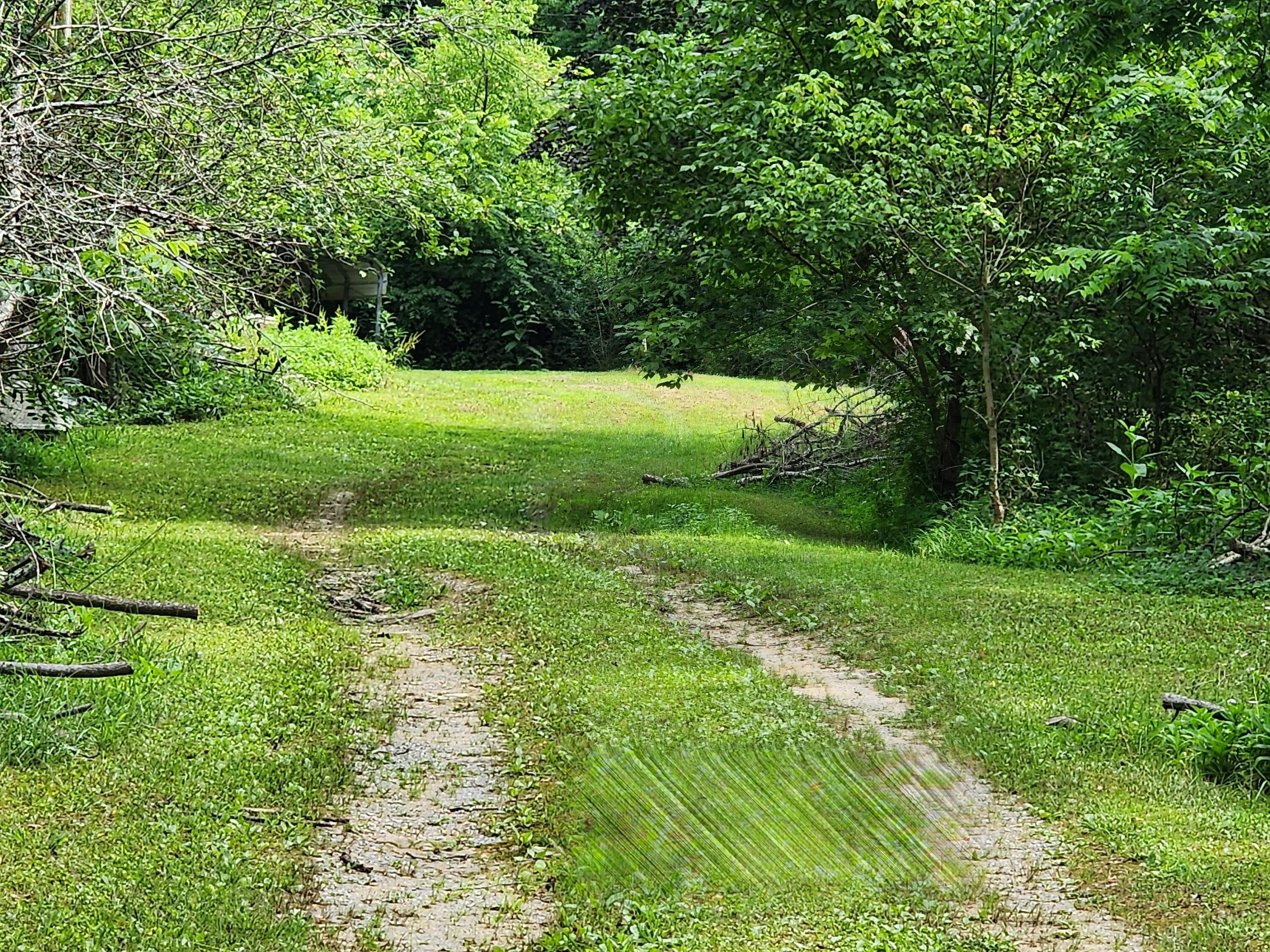 1253 Ryder Church Road Bluff City, TN 37618 - Photo 5 of 75 20230713_163845