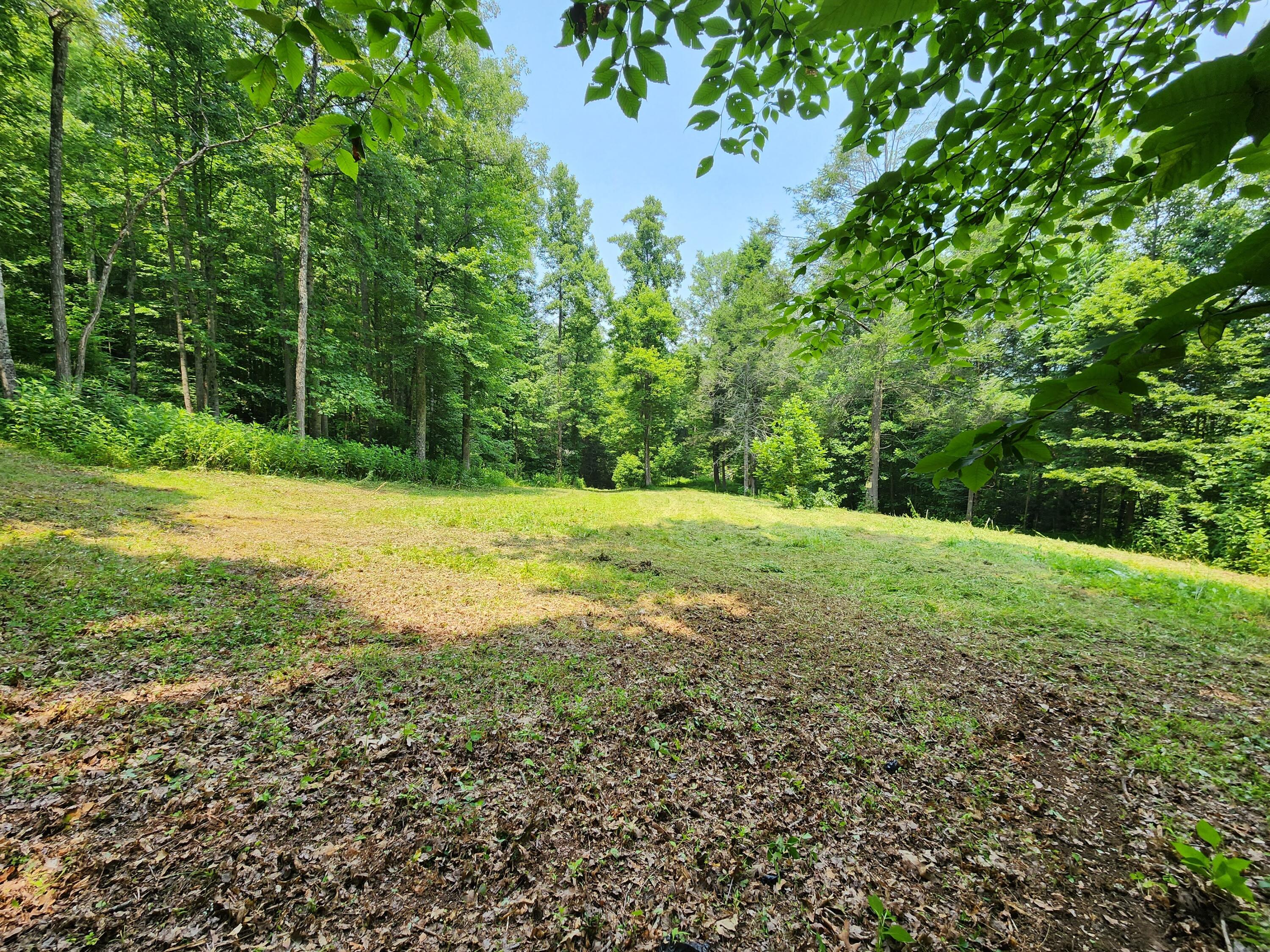 1253 Ryder Church Road Bluff City, TN 37618 - Photo 51 of 75 20230717_131341