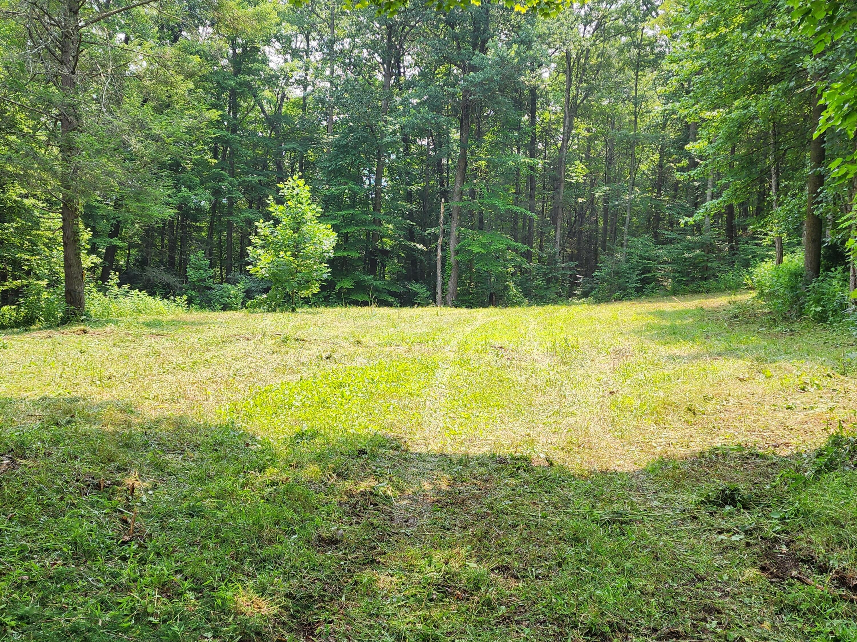 1253 Ryder Church Road Bluff City, TN 37618 - Photo 54 of 75 20230717_131625