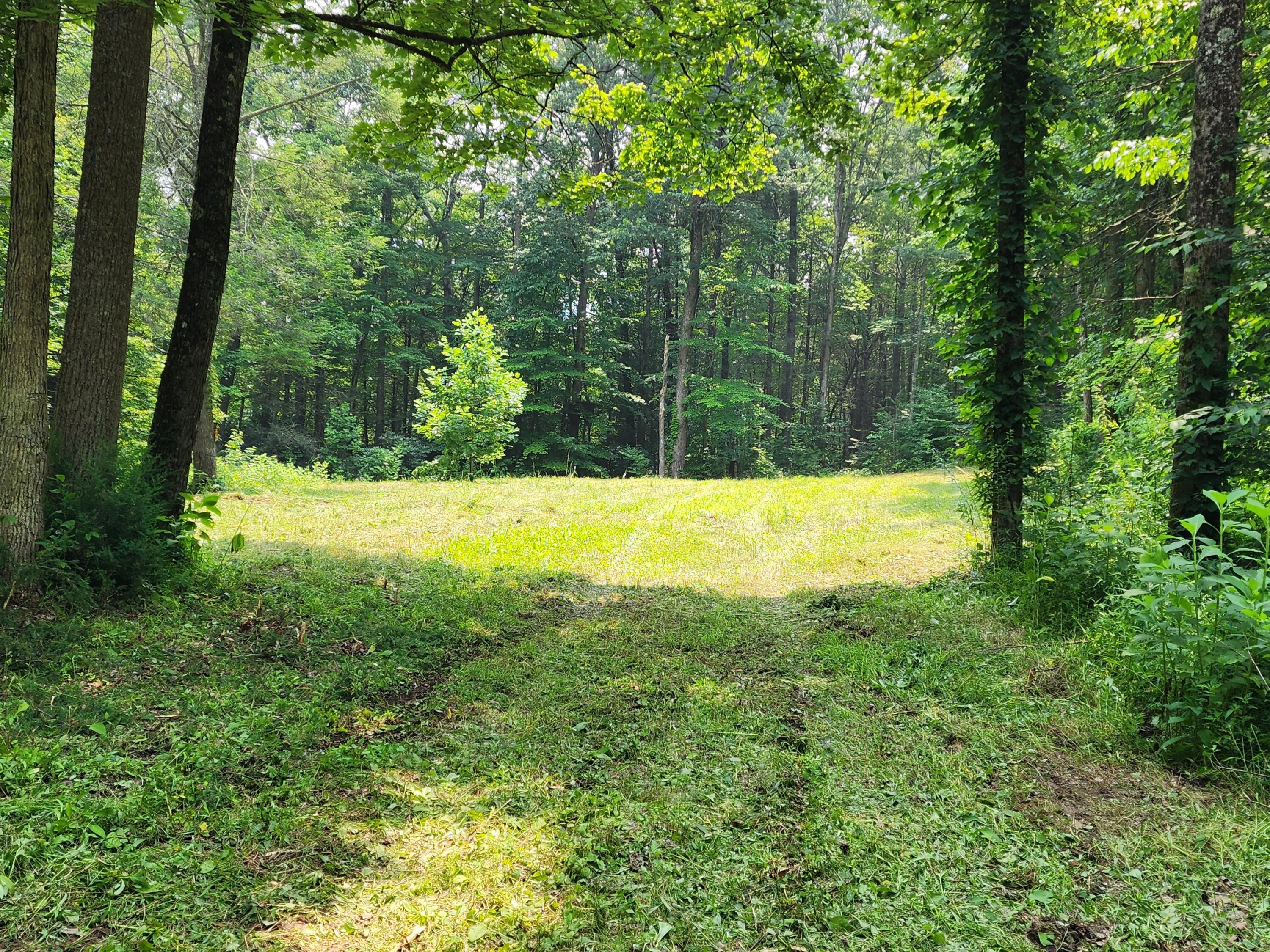 1253 Ryder Church Road Bluff City, TN 37618 - Photo 55 of 75 20230717_131636
